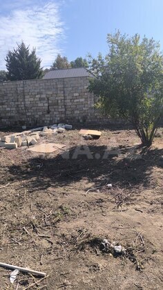 Torpaq Novxanı q., Bakı