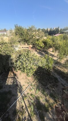 Torpaq Novxanı q., Bakı
