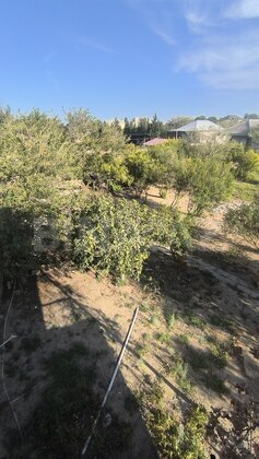 Torpaq Novxanı q., Bakı