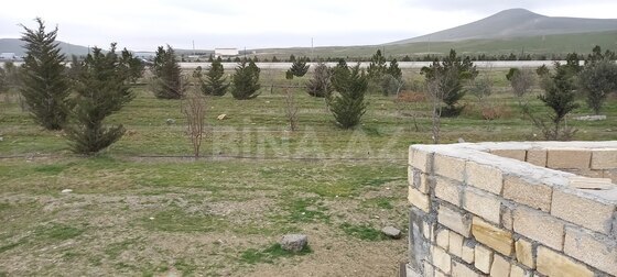 Torpaq Abşeron r., Bakı