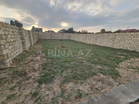 Torpaq Novxanı q., Bakı