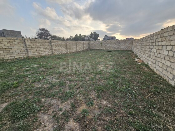 Torpaq Novxanı q., Bakı