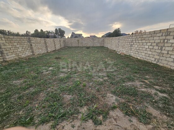 Torpaq Novxanı q., Bakı