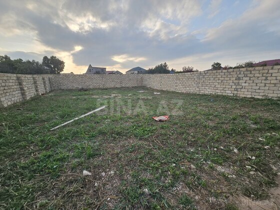 Torpaq Novxanı q., Bakı