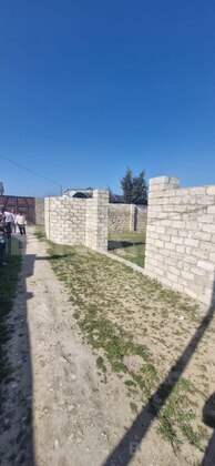 Torpaq Buzovna q., Bakı