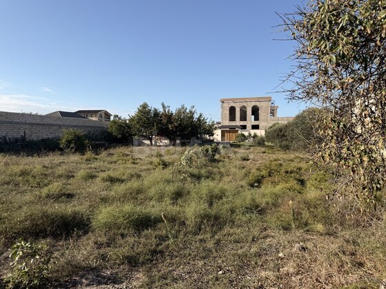 Torpaq Bilgəh q., Bakı