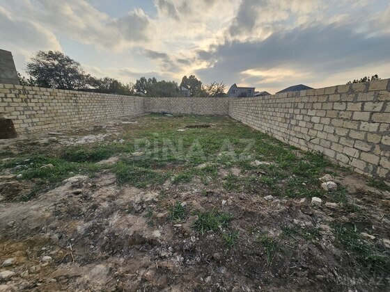 Torpaq Novxanı q., Bakı