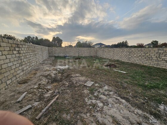 Torpaq Novxanı q., Bakı