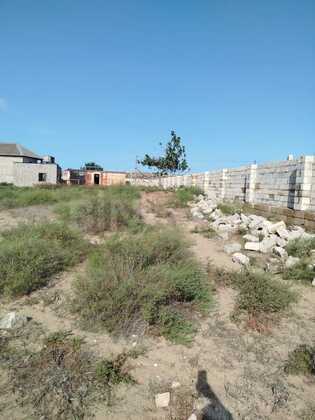 Torpaq Nardaran q., Bakı