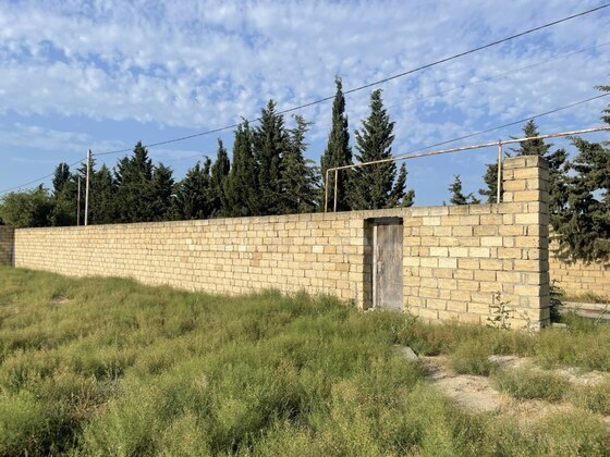 Torpaq Pirşağı q., Bakı