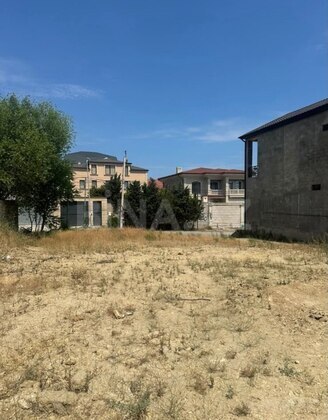 Torpaq Badamdar q., Bakı