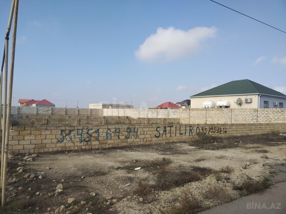 Torpaq Buzovna q., Bakı