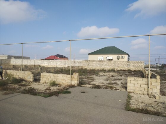 Torpaq Buzovna q., Bakı