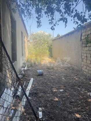 Torpaq Görədil q., Bakı