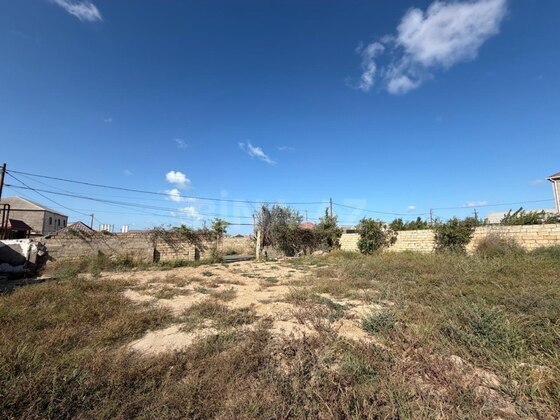 Torpaq Nardaran q., Bakı