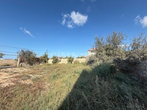 Torpaq Nardaran q., Bakı