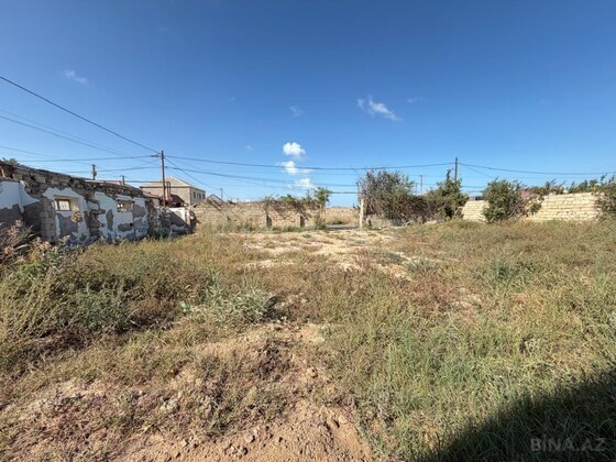 Torpaq Nardaran q., Bakı