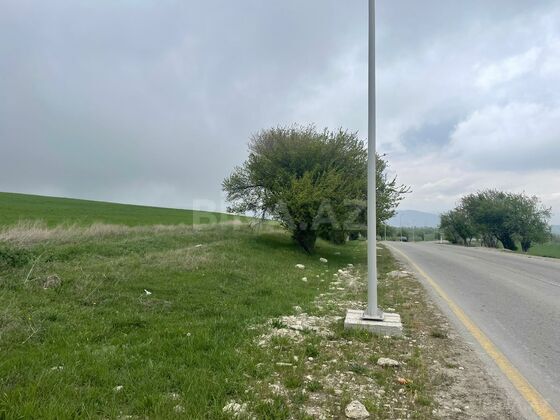 Torpaq Şamaxı