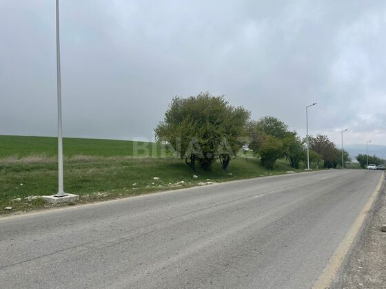 Torpaq Şamaxı