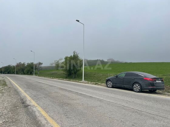 Torpaq Şamaxı