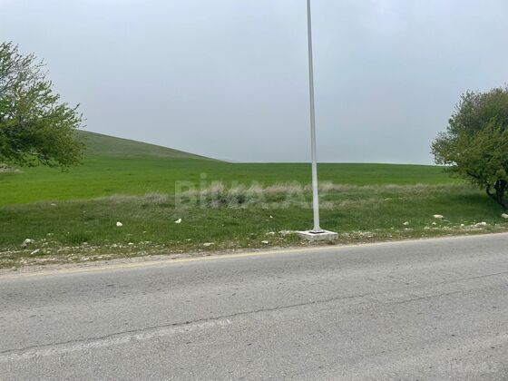 Torpaq Şamaxı