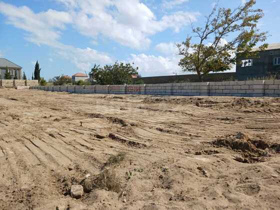 Torpaq Nardaran q., Bakı