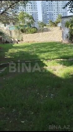 Torpaq Badamdar q., Bakı