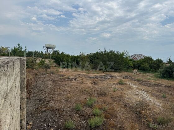 Torpaq Binə q., Bakı