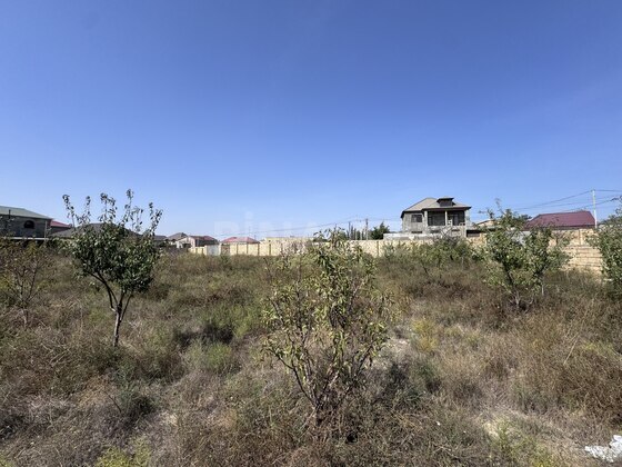 Torpaq Saray q., Bakı