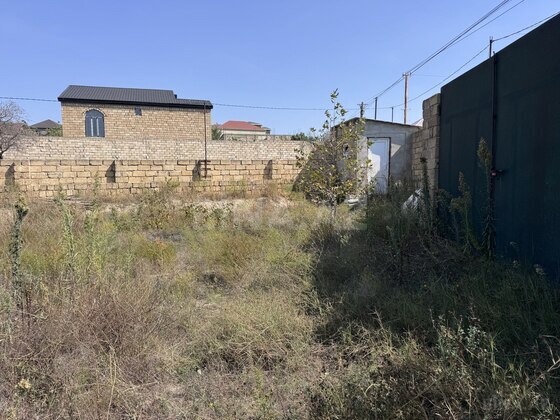 Torpaq Saray q., Bakı