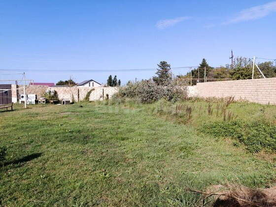 Torpaq Novxanı q., Bakı