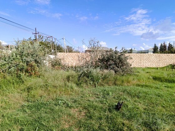Torpaq Novxanı q., Bakı