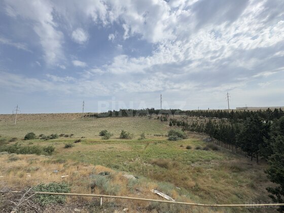 Torpaq Saray q., Bakı