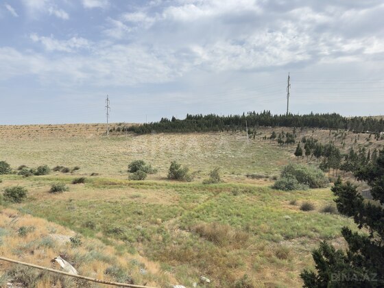 Torpaq Saray q., Bakı