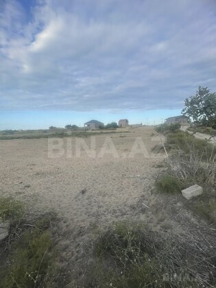 Torpaq Nardaran q., Bakı