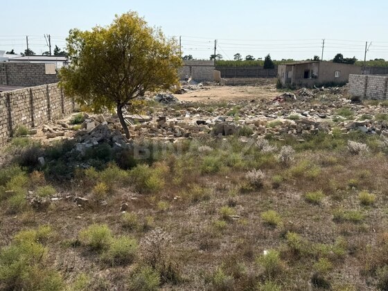 Torpaq Şüvəlan q., Bakı