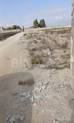 Torpaq Türkan q., Bakı