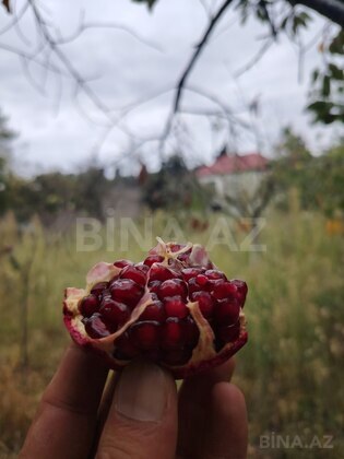 Torpaq Mərdəkan q., Bakı