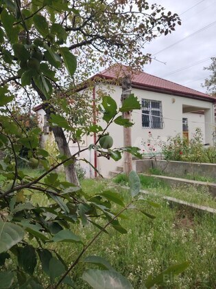 Torpaq Mərdəkan q., Bakı