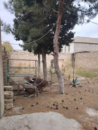 Torpaq Mərdəkan q., Bakı
