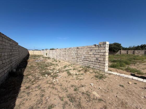 Torpaq Nardaran q., Bakı