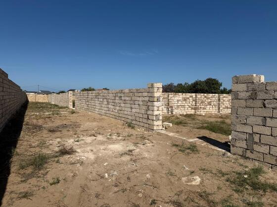 Torpaq Nardaran q., Bakı