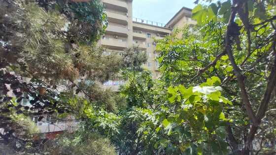 3 otaqlı Köhnə tikili, Elmlər Akademiyası m., Bakı