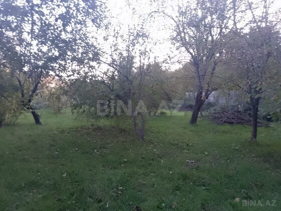 Torpaq İsmayıllı