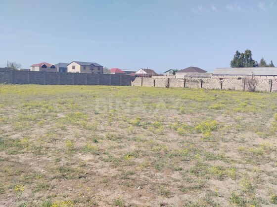 Torpaq Qala q., Bakı