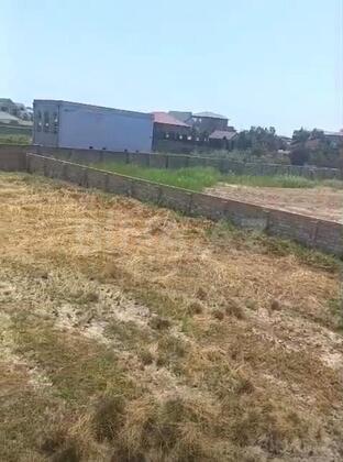 Torpaq Buzovna q., Bakı