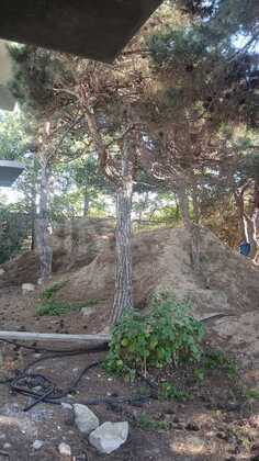 Torpaq Bilgəh q., Bakı