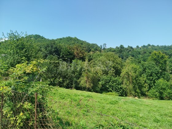 Torpaq Quba