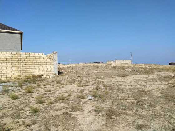 Torpaq Novxanı q., Bakı