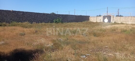 Torpaq Şüvəlan q., Bakı